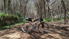 Canyon Exceed CF 7 2021 photo Canyon Exceed CF 7 2021 photo