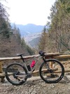 Canyon Exceed CF 7 2021 photo Canyon Exceed CF 7 2021 photo