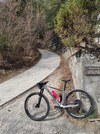 Canyon Exceed CF 7 2021 photo Canyon Exceed CF 7 2021 photo