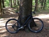 Carbon 27.5" photo