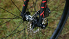 Carbonda Gravel Bike 1x11 Di2 photo