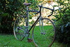 Carlos Road Bike photo