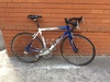 Carrera Nettuno Road Bike photo