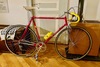 Casati "Gold Line" photo