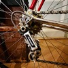 Casati "Gold Line" photo