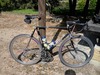 Cascarsi - Columbus SLX photo