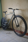 Celt Fixie photo