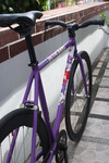 Celt Purple Fixed Gear photo