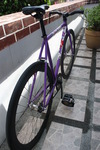 Celt Purple Fixed Gear photo