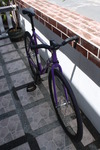 Celt Purple Fixed Gear photo