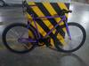 Celt Purple Fixed Gear photo