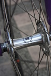 Celt Purple Fixed Gear photo