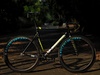 Centurio Primus Plus x Ascent Bikes photo