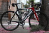 Cervelo S2 (10th) photo