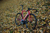 Cervélo T1 photo