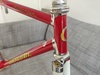 Cherubim Triple Crown NJS 52cm photo