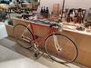 Cherubim Triple Crown NJS 52cm photo