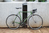 Cherubim V Racer Green photo