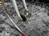 Chrome Lugged Stratos Keirin photo