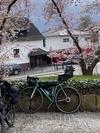 Cicli Bonanno photo