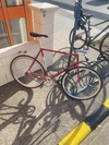 Cicli Monti Record photo