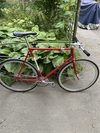 Cicli Monti Record photo