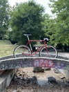 Cicli Monti Record photo