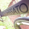 Ciclo Fissato photo