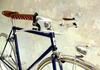 Cilo Randnonneur photo