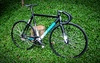 Cinelli MASH Histogram photo