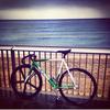 Cinelli Mash Green photo