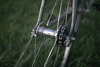 Cinelli Bolt photo