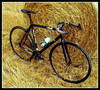 Cinelli Bootleg photo