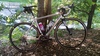 Cinelli experience photo