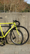 Cinelli Gazzetta 50cm photo