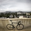 cinelli histogram 2015 photo