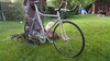 Cinelli Lo-Pro photo