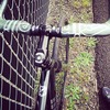 Cinelli Mash photo