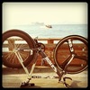 Cinelli Mash photo