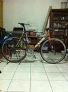 cinelli mash black orange 53CM photo