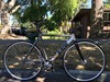 Cinelli Mash Bolt photo