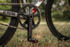 Cinelli MAsH BoLt photo
