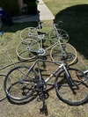 Cinelli Mash Bolt photo