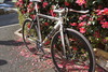 Cinelli Mash Bolt photo