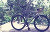 Cinelli Mash Bolt BiciLocal photo