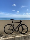 2013 Cinelli Mash (Black/Rainbow Flakes) photo