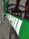 Cinelli Mash Green 2010 photo