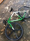 Cinelli Mash Green 2010 photo