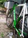 Cinelli Mash green photo