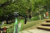 Cinelli Mash Green photo